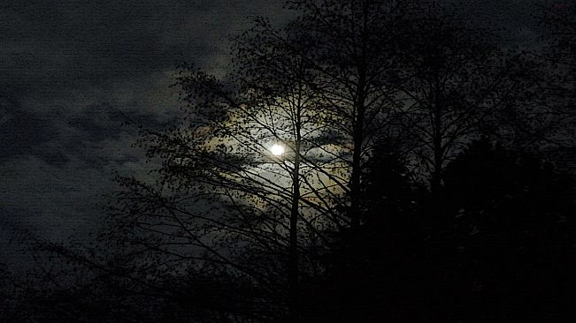 The Art of Dark Fairies