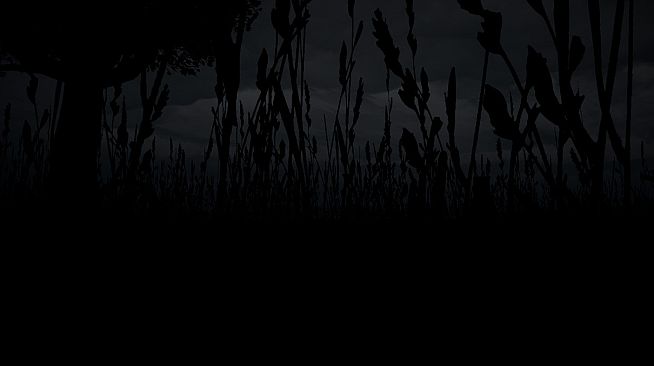 Disquiet Fields