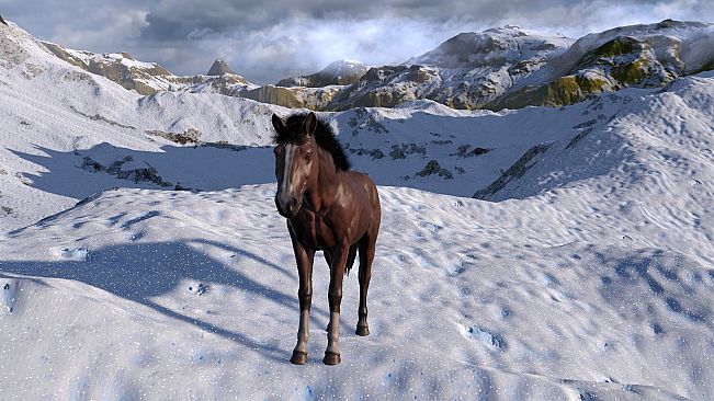 HORSE LIFE: find horses in open world, survive in wild nature as a foal or pony
