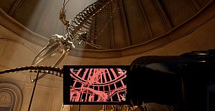 Museum 8