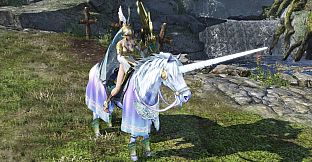 WARRIORS OROCHI 4/無双OROCHI３- Bonus Mount Unicorn
