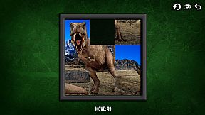 Intelligence: Dinosaurs