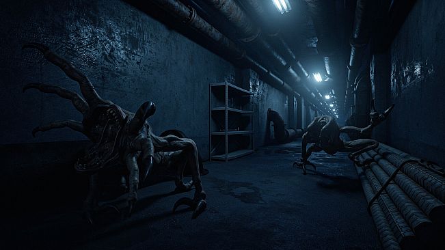 BackroomsVR:Zero