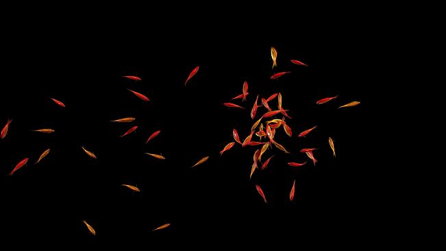 Goldfish Simulator