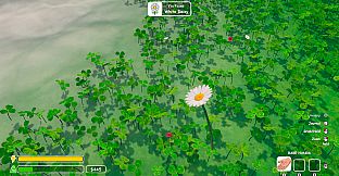 Lucky Clover: 1 in 500,000