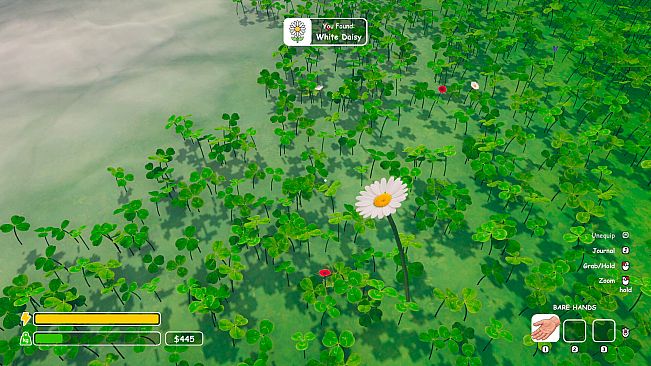 Lucky Clover: 1 in 500,000