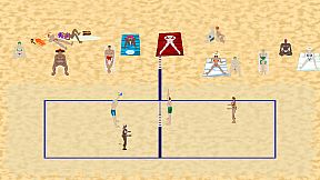 Beach Volleyball Competition