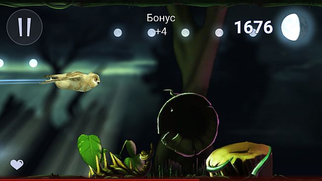 Owl's Midnight Journey