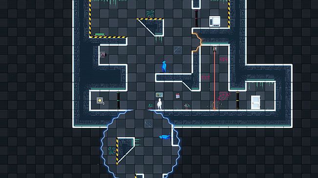 Link Loop