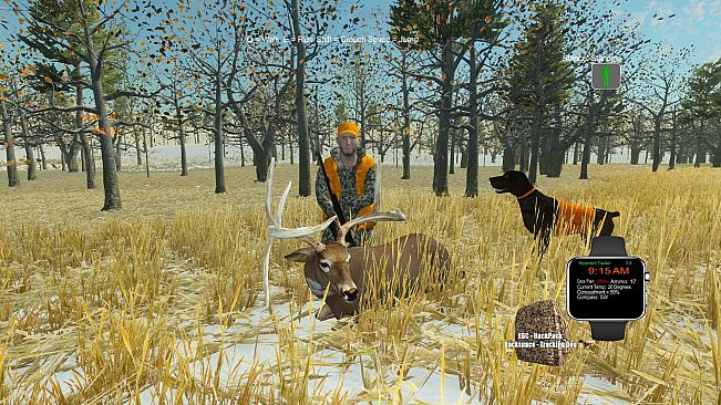 Deer Hunting - The Season Tracking Dog