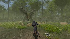 Age of Reforging: The Freelands