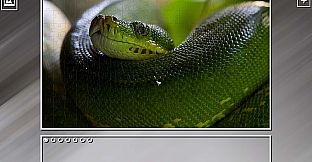 Super Jigsaw Puzzle: Generations - Snakes Puzzles