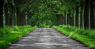 The Art of Dark Fairies