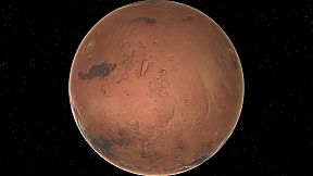 Future Simulation World