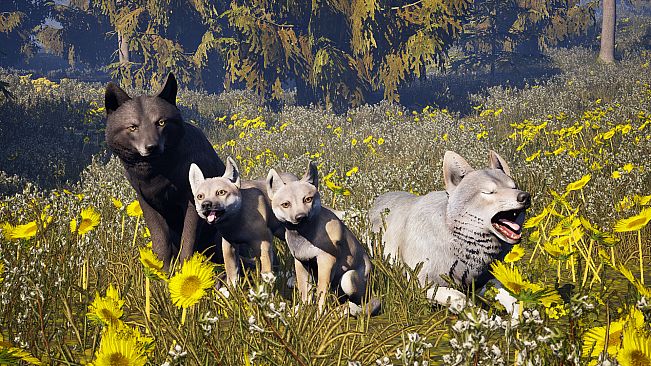 Susia - Wolf Life Simulator