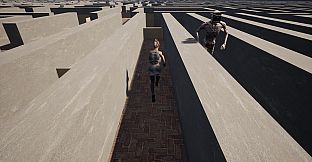 Maze escape