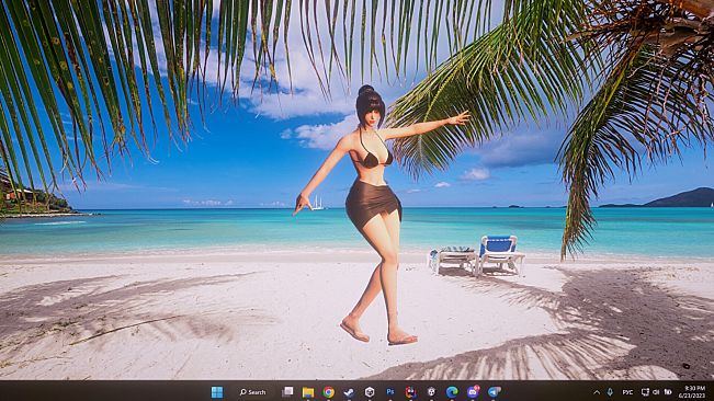 Desktop Beach Girls