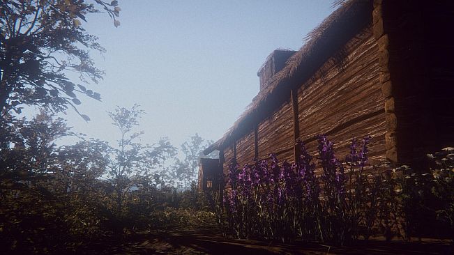 Vigilum
