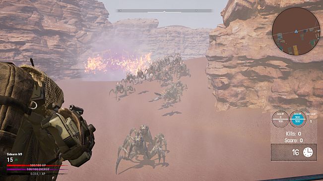 Desert Echo