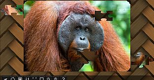 Jigsaw Puzzle World - Primates