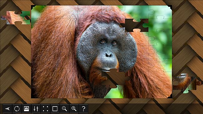 Jigsaw Puzzle World - Primates