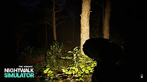 Nightwalk Simulator