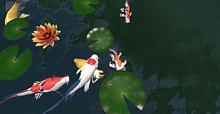 A little Jumpingspider's Garden Adventure (Day 1+2)