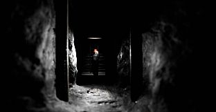 In the Belly of the Night