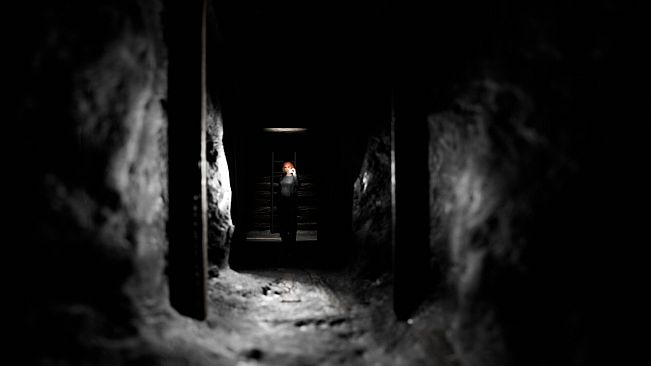 In the Belly of the Night