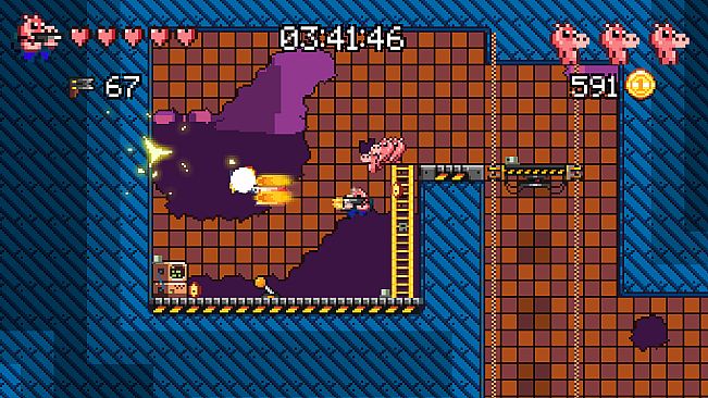 Ammo Pigs: Armed and Delicious