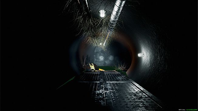 The Mirror Dimension