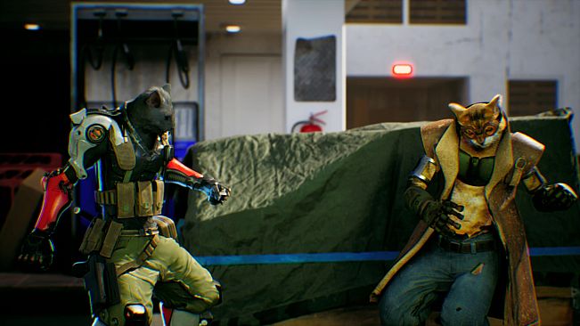 MindKatt:First Strike