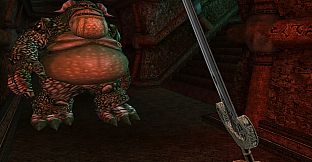 The Elder Scrolls III: Morrowind Game of the Year Edition (PC)