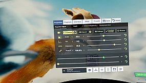 Whirligig Media Player