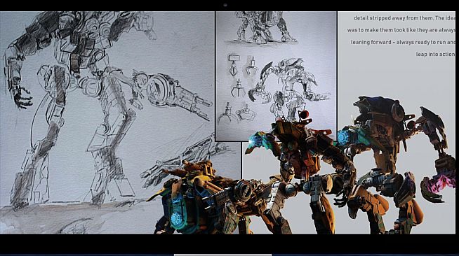 BEAUTIFUL DESOLATION Supporter's Pack