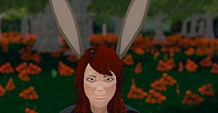 Hide and Seek - Rabbit Ears