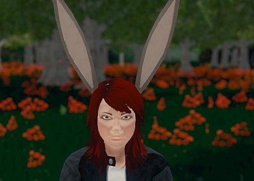 Hide and Seek - Rabbit Ears