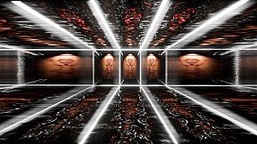 Everything Is For Humanity