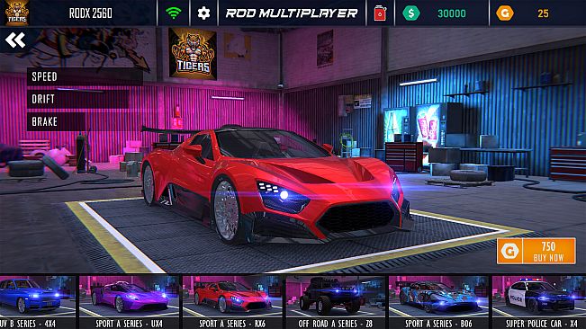 ROD Multiplayer Car Driving