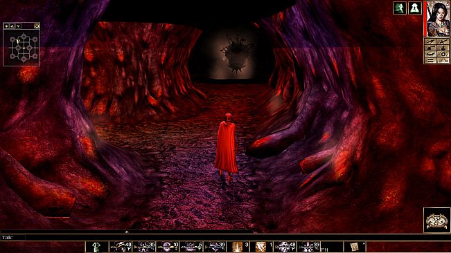 Neverwinter Nights: Infinite Dungeons