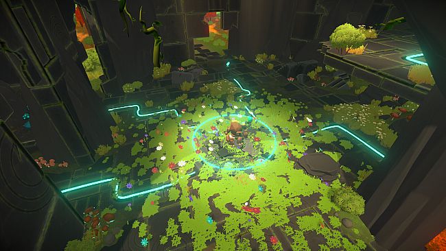 Unpetrified: Echoes of Nature