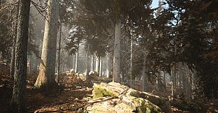 Photography Simulator