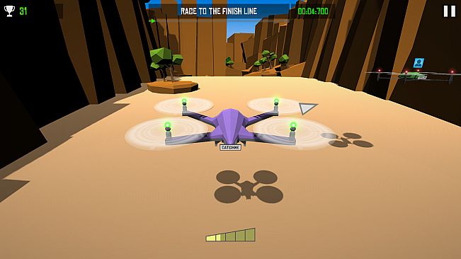 Drone Racer: Canyons