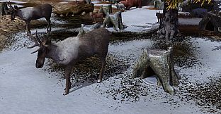 Wildilfe Park 3 - Alaska