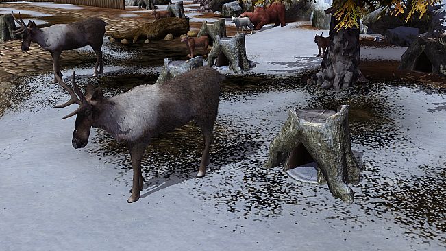 Wildilfe Park 3 - Alaska