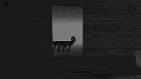 Trash Horror Collection