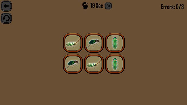 Animals Memory: Insect