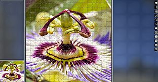 Jigsaw Puzzle Pack - Pixel Puzzles Ultimate: Variety Pack 5