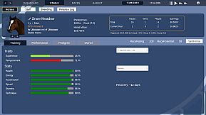 Golden Stables - Horse Racing