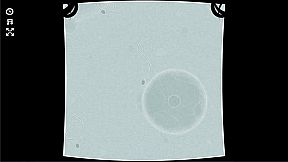 The Basement Collection